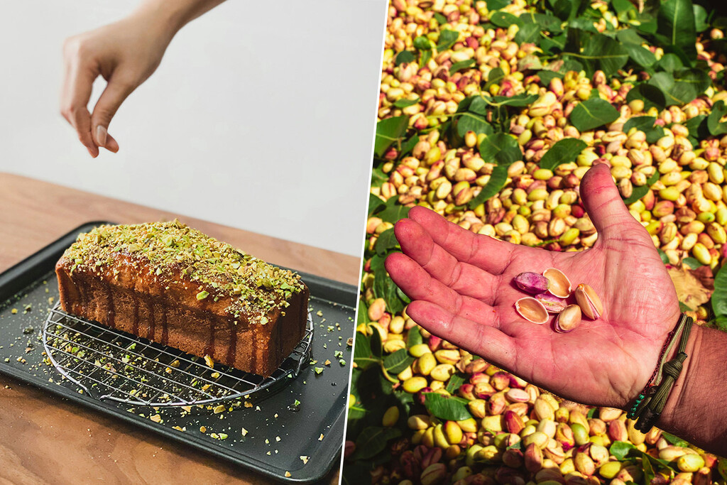 España ha encontrado oro verde en los campos: el pistacho ha dado trabajo a 200.000 personas y necesita a 100.000 más