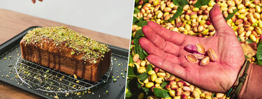 Spain has found green gold in the fields: pistachio has given work to 200,000 people and needs 100,000 more