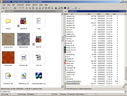 Altap Salamander: especial reemplazos de Windows Explorer