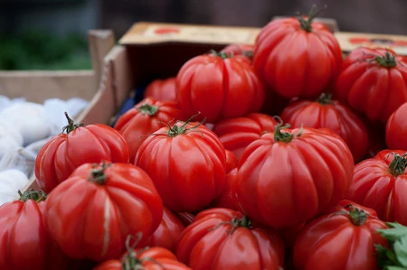 ¿Por qué los tomates de mi pueblo (riquísimos) no llegan al súper de mi ciudad?