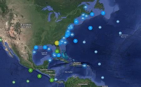 Sigue la pista en tiempo real de tiburones, delfines, ballenas y otros animales marinos con esta herramienta