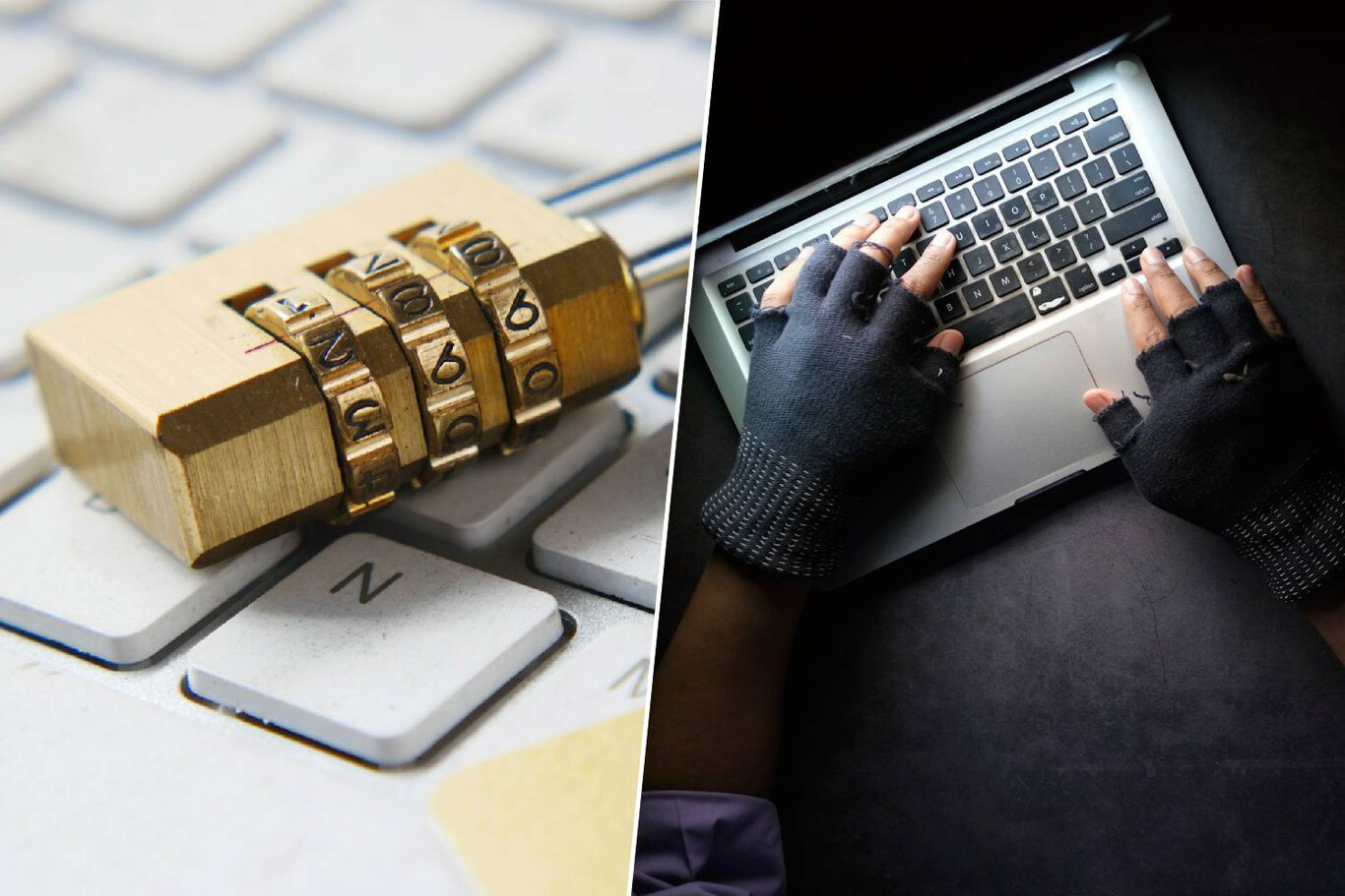 Estelle berglin boobs Sweafans  alyona_sexy  sweafit.