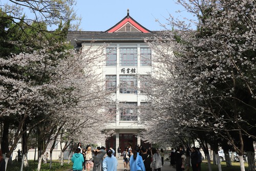 Escolas no japão virando hotéis hospedagem passagens. Imagem:  周 小苏 Unsplash