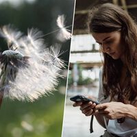 Si eres alérgico y vives en Andalucía, usar esta app es el mejor remedio: te avisa cada vez que los niveles de polen están demasiado altos