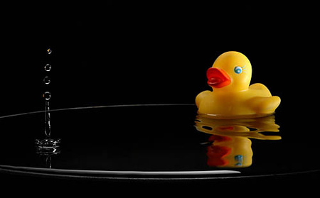 intro-duck-tion, transformando tu dormitorio en tu estudio: Stop Motion