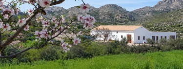 Se buscan voluntarios para vivir gratis en una casa con piscina cerca de Alicante, a cambio de mover heno y cuidar de dos caballos