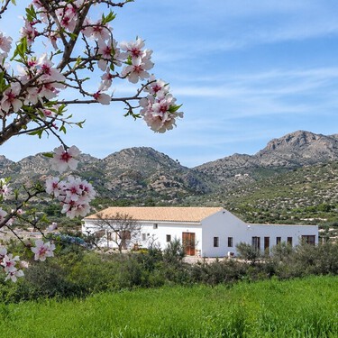 Se buscan voluntarios para vivir gratis en una casa con piscina cerca de Alicante, a cambio de mover heno y cuidar de dos caballos