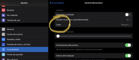 カラーカーソル iPad 2