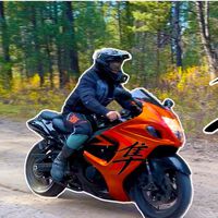 Un piloto se propone hacer enduro con una Suzuki Hayabusa de 190 CV. Spoiler: sale mal