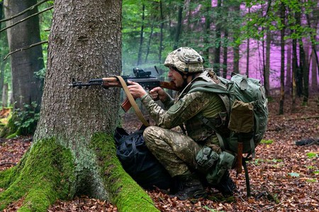 Imagem de capa | 7th Army Training Command