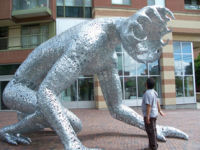 El pequeño comercio contra Goliat 