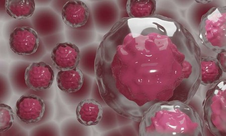 Se logra crear eficientemente la versión sintética de un compuesto muy prometedor como agente contra el cáncer