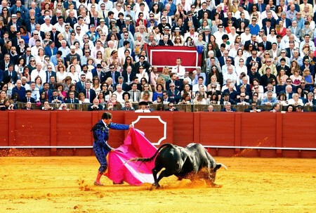 Toros