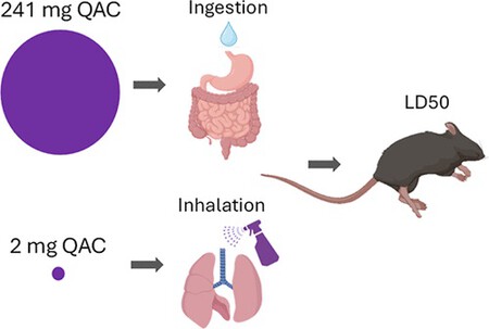 Images Medium Es5c13204 0007