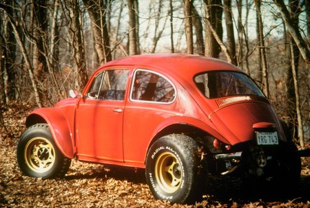 Beetle