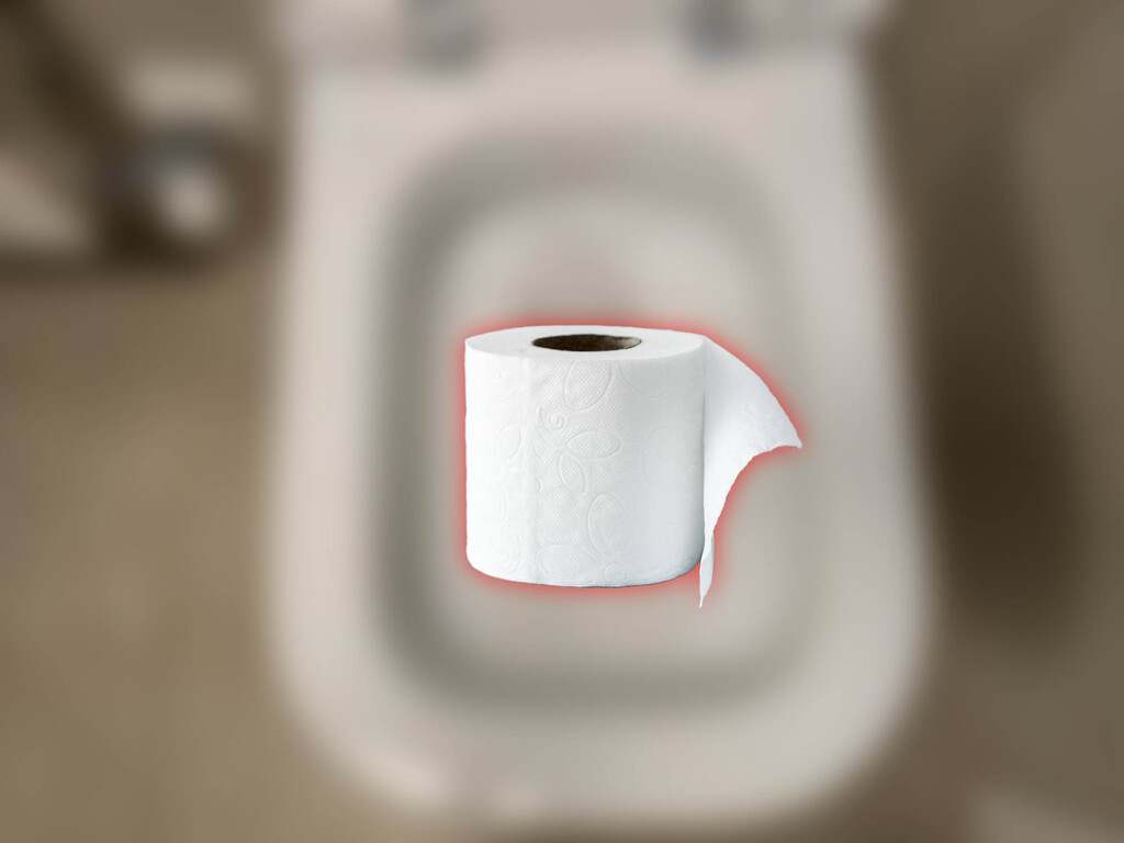 El papel higiénico es un tesoro. Llevo años usándolo para dejar el baño brillante y cuando lo cuento se sorprenden