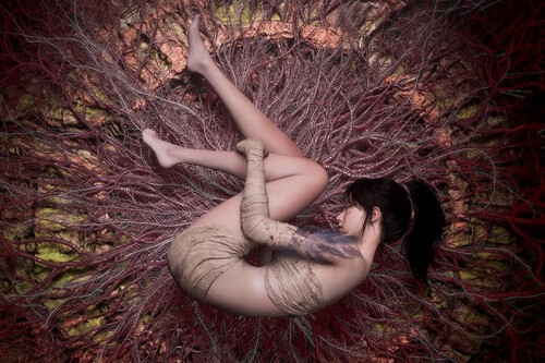 Wuchang: Fallen Feathers (Leenzee Games)