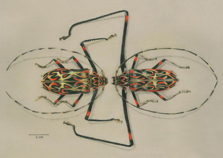 Las mejores ilustraciones de ciencia en el Il.lustraciència