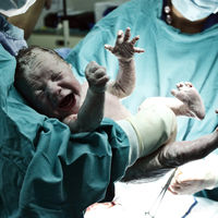 ¿Cómo puede un bebé tener tres padres?