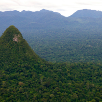 Perú crea uno de los mayores parques nacionales del mundo para proteger su selva de la deforestación 