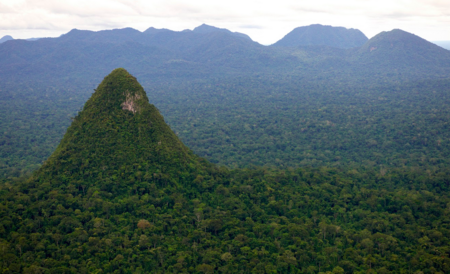 Perú crea uno de los mayores parques nacionales del mundo para proteger su selva de la deforestación