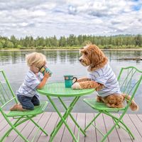 La conmovedora historia entre un niño adoptado y su inseparable perro Labradoodle que parecen hermanos