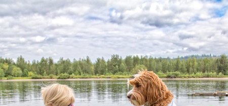 La conmovedora historia entre un niño adoptado y su inseparable perro Labradoodle que parecen hermanos