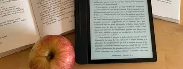 Qué libro electrónico comprar: guía de compra de eBook con recomendaciones y 11 modelos destacados