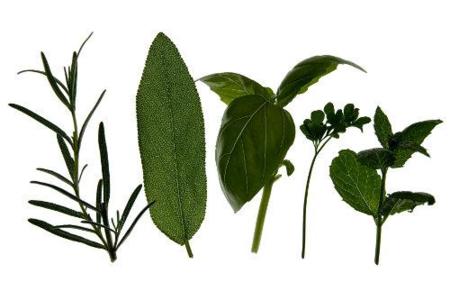 Pequeños ingredientes, pero grandes antioxidantes