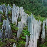 Los pináculos de Gunung Mulu: estas aserradas cuchillas de piedra caliza se encuentran en las selvas de Borneo