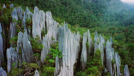 Los pináculos de Gunung Mulu: estas aserradas cuchillas de piedra caliza se encuentran en las selvas de Borneo