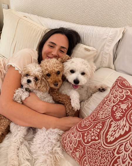 Abrazo Acogedor Con Tres Perritos En La Cama