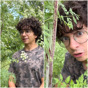 Melerus, experto en plantas: "Esta es la planta más peligrosa del mundo y puede encontrarse en cualquier campo, parque o jardín de España" 