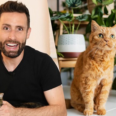 Carlos Gutiérrez, veterinario: "En las casas con gatos es mejor evitar limpiar los suelos con lejía y usar desinfectantes sin cloro"