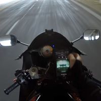 Y niños, así es como el cabezabuque se enfrenta a la selección natural con un smartphone