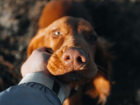 Post De Facebook Frase Acuarela Azul 1200 X 900 Px 6