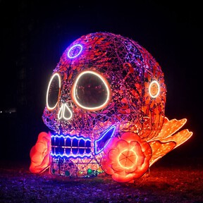 El Glow Fest sale de Europa para llegar a México: dónde y cuándo disfrutar de este espectáculo de luz y arte de forma gratuita