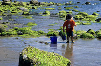Las cosas que un niño debe saber
