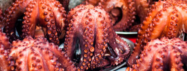 Las vedas funcionan: récord de capturas y precios en las primeras semanas de la campaña del pulpo gallego