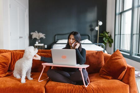 Perro pidiendo mimos a su tutora durante una llamada de trabajo