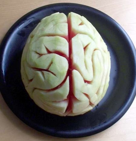 ¿El ser humano sólo utiliza el 10 % de su capacidad mental? (y III)