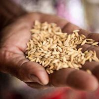 Tenemos una crisis alimentaria global que puede seguir empeorando