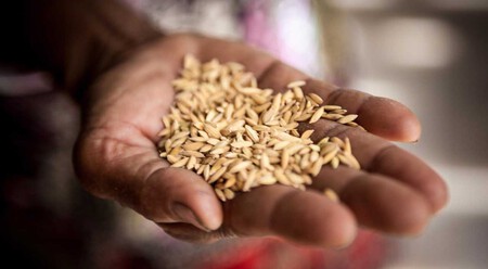 Tenemos una crisis alimentaria global que puede seguir empeorando