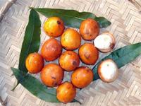 Achachairú: la fruta que sólo podrás comer en Bolivia 