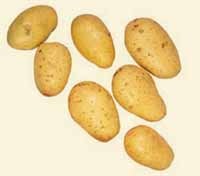 Estampar con patatas