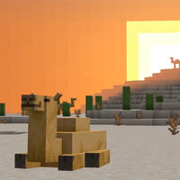 Los camellos llegan a Minecraft con la actualización 1.20: ventana de lanzamiento y primeros detalles 