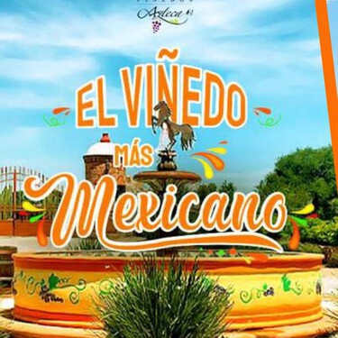 Disfruta de la Noche Mexicana en un viñedo en Querétaro: habrá pisado de uvas, show ecuestre, mariachi y mucho más