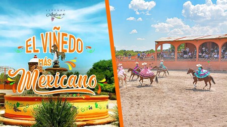 Disfruta de la Noche Mexicana en un viñedo en Querétaro: habrá pisado de uvas, show ecuestre, mariachi y mucho más
