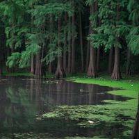 Estes animais não deveriam existir: cientistas descobrem um "mundo perdido" que desafia a história da vida complexa