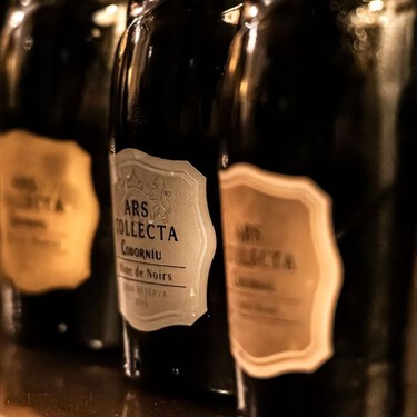 Este cava ha sido el mejor espumoso de España y pertenece a una de las marcas más conocidas del mundo del vino 